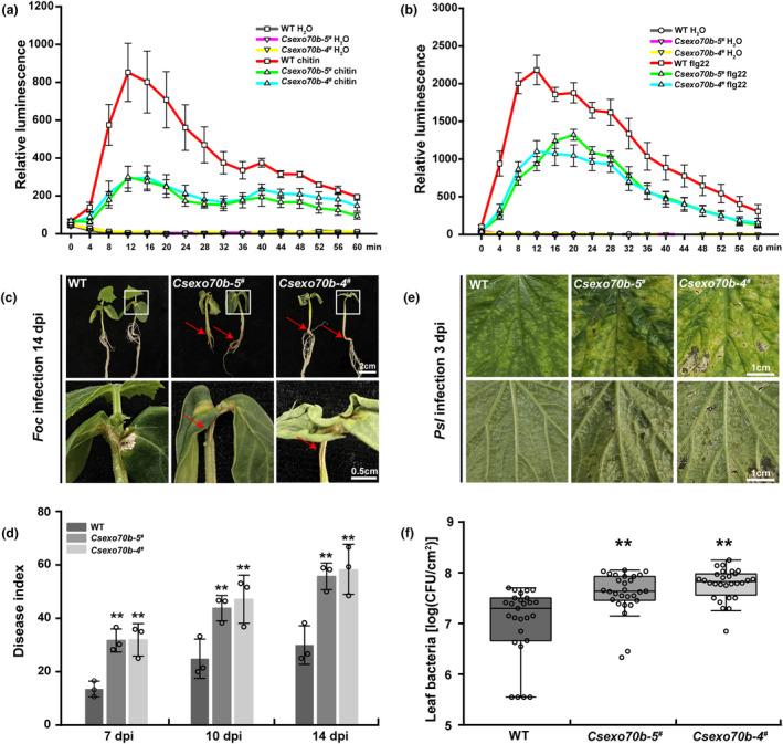 https://cdn.ncbi.nlm.nih.gov/pmc/blobs/af58/11373993/3ac72c03960d/PBI-22-347-g005.jpg