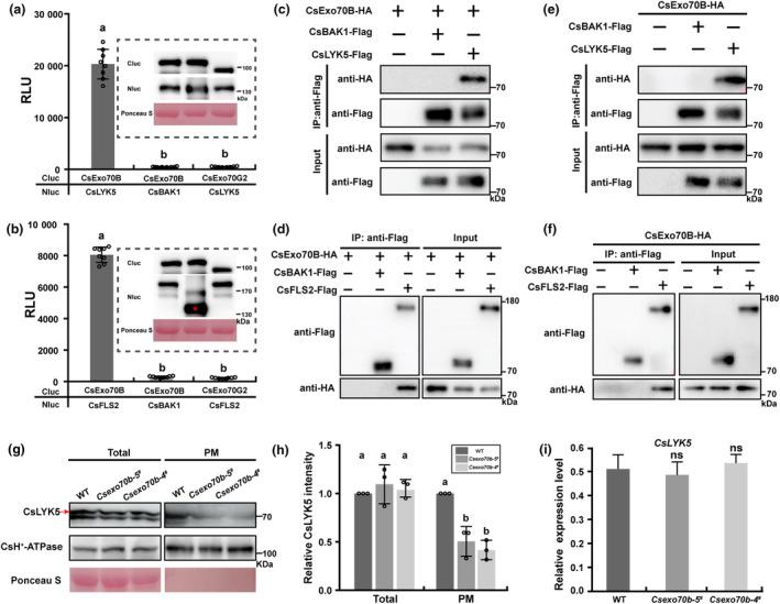 https://cdn.ncbi.nlm.nih.gov/pmc/blobs/af58/11373993/69704fe4d2e5/PBI-22-347-g003.jpg