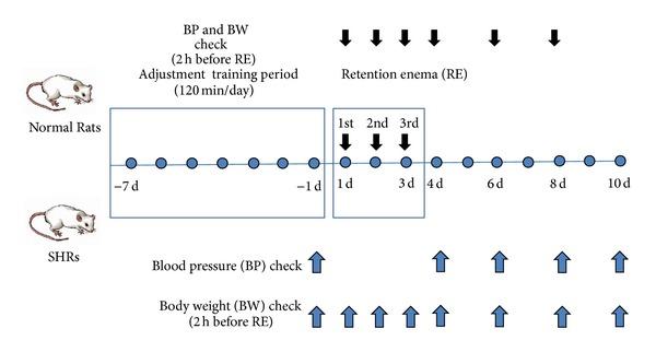 https://cdn.ncbi.nlm.nih.gov/pmc/blobs/af58/3703367/84e0ca8ce863/ECAM2013-765914.001.jpg