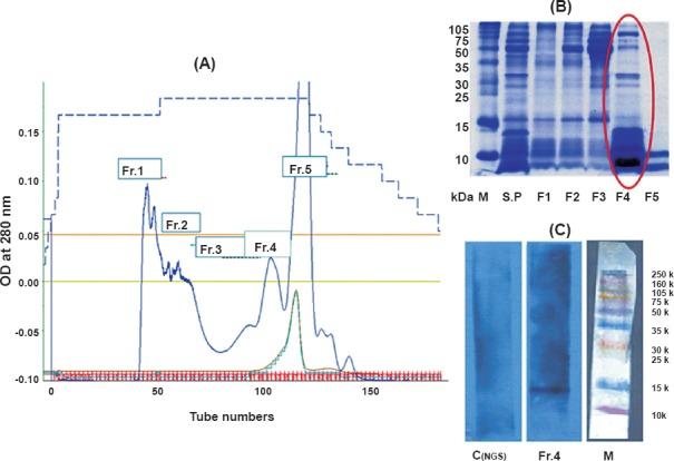 https://cdn.ncbi.nlm.nih.gov/pmc/blobs/af59/4510722/5249407e6db7/IJMR-141-423-g002.jpg