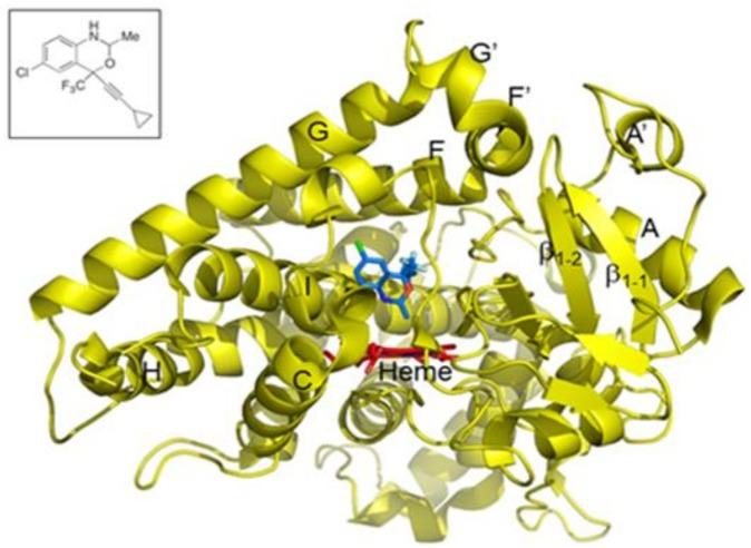 https://cdn.ncbi.nlm.nih.gov/pmc/blobs/af5a/5979536/1eb7fb46eb7f/ijms-19-01025-g001.jpg