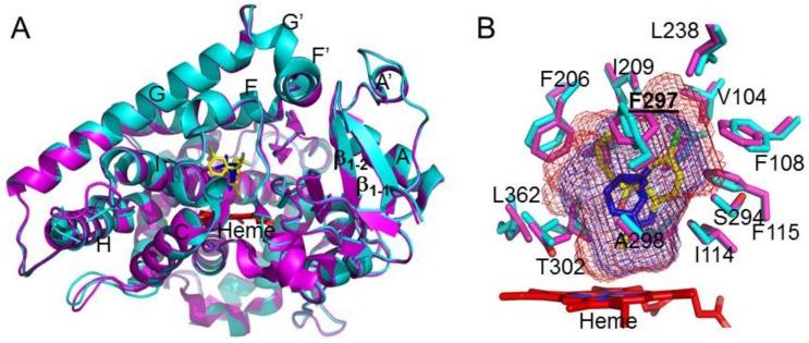 https://cdn.ncbi.nlm.nih.gov/pmc/blobs/af5a/5979536/d15f0d1ede32/ijms-19-01025-g002.jpg
