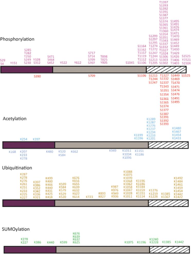 https://cdn.ncbi.nlm.nih.gov/pmc/blobs/af5a/9090595/47e9f436ac67/cdr-3-149.fig.2.jpg