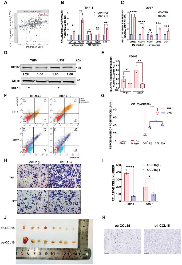 https://cdn.ncbi.nlm.nih.gov/pmc/blobs/af5a/9169356/4243c2dc7070/thnov12p4163g003.jpg