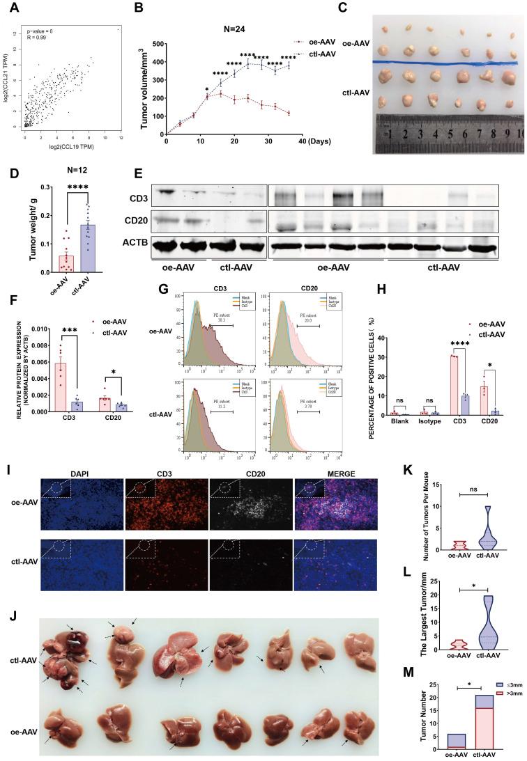 https://cdn.ncbi.nlm.nih.gov/pmc/blobs/af5a/9169356/4c8dbce42cab/thnov12p4163g007.jpg