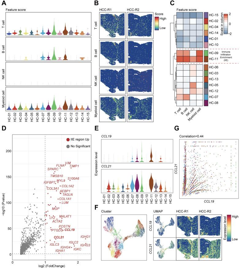 https://cdn.ncbi.nlm.nih.gov/pmc/blobs/af5a/9169356/53469e81d09d/thnov12p4163g005.jpg