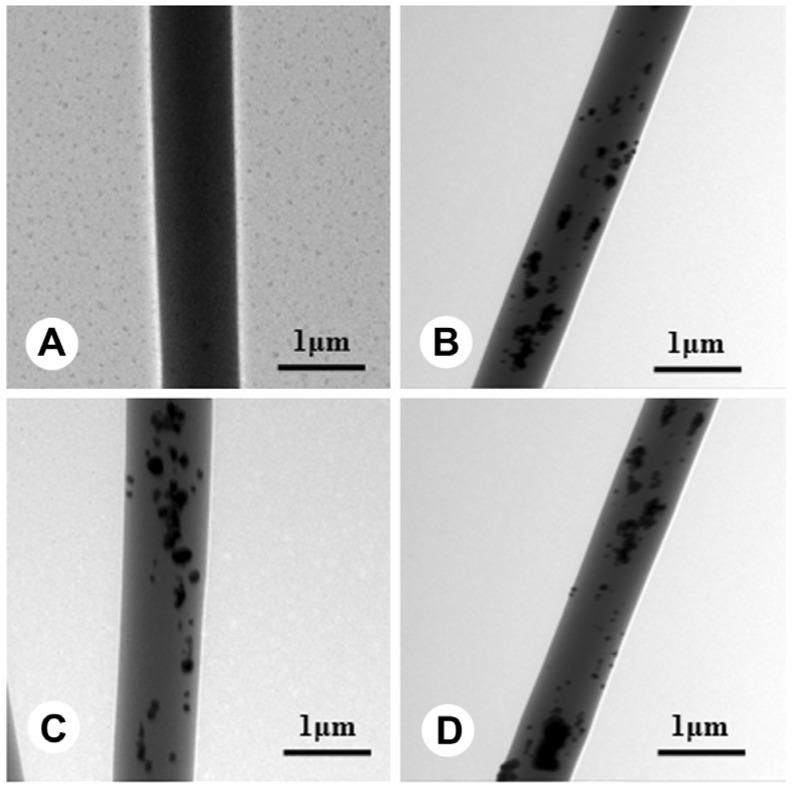 https://cdn.ncbi.nlm.nih.gov/pmc/blobs/af5b/4159836/70ceeada8d94/ijms-15-14014-g002.jpg
