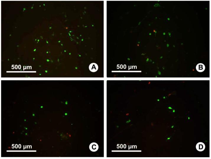 https://cdn.ncbi.nlm.nih.gov/pmc/blobs/af5b/4159836/7bc49c454a14/ijms-15-14014-g004.jpg