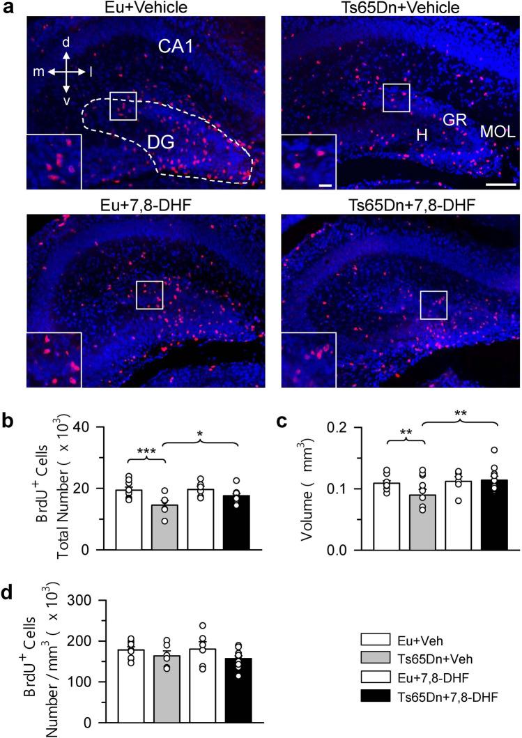 https://cdn.ncbi.nlm.nih.gov/pmc/blobs/af5b/7973813/ac62d0f8658c/41598_2021_85284_Fig3_HTML.jpg