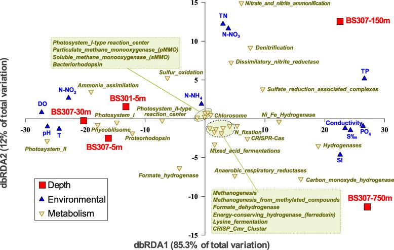 https://cdn.ncbi.nlm.nih.gov/pmc/blobs/af5c/8067304/3186fc81b740/40793_2021_374_Fig2_HTML.jpg