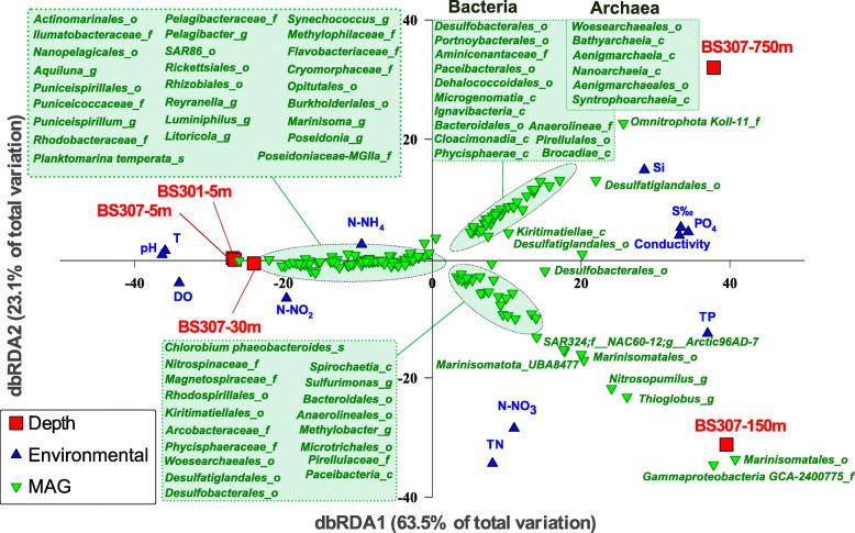 https://cdn.ncbi.nlm.nih.gov/pmc/blobs/af5c/8067304/6ee5d2c0a8d7/40793_2021_374_Fig3_HTML.jpg