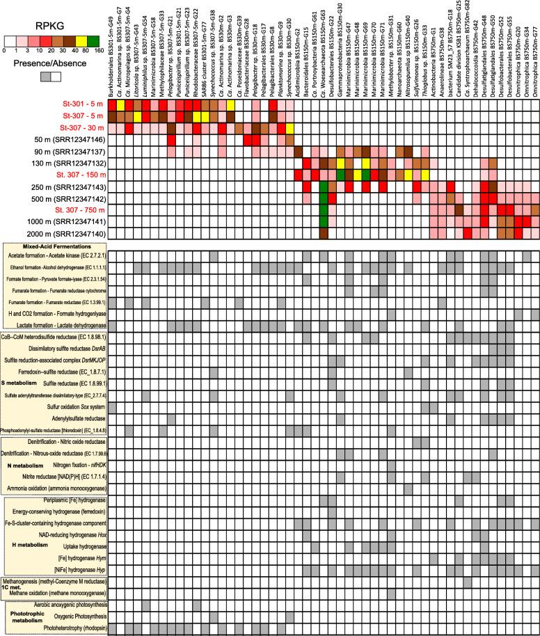 https://cdn.ncbi.nlm.nih.gov/pmc/blobs/af5c/8067304/818f7d6078c2/40793_2021_374_Fig4_HTML.jpg