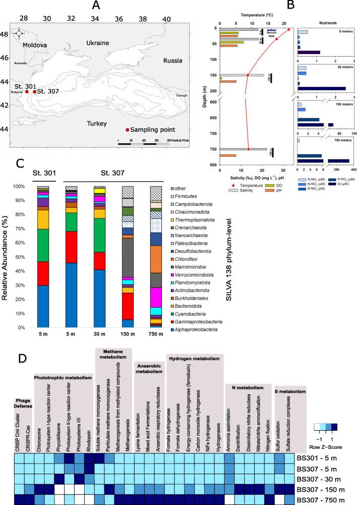 https://cdn.ncbi.nlm.nih.gov/pmc/blobs/af5c/8067304/f93bb6b42efe/40793_2021_374_Fig1_HTML.jpg