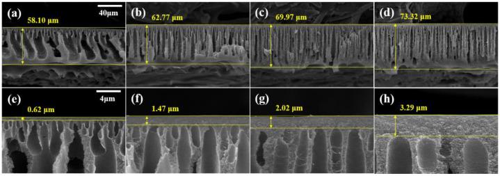 https://cdn.ncbi.nlm.nih.gov/pmc/blobs/af5c/9864663/0dae1b648822/membranes-13-00104-g006.jpg