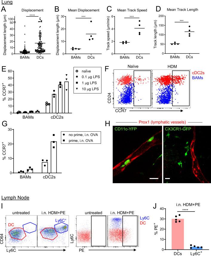 https://cdn.ncbi.nlm.nih.gov/pmc/blobs/af5e/9560158/1ff577e6cae2/elife-63296-fig8.jpg
