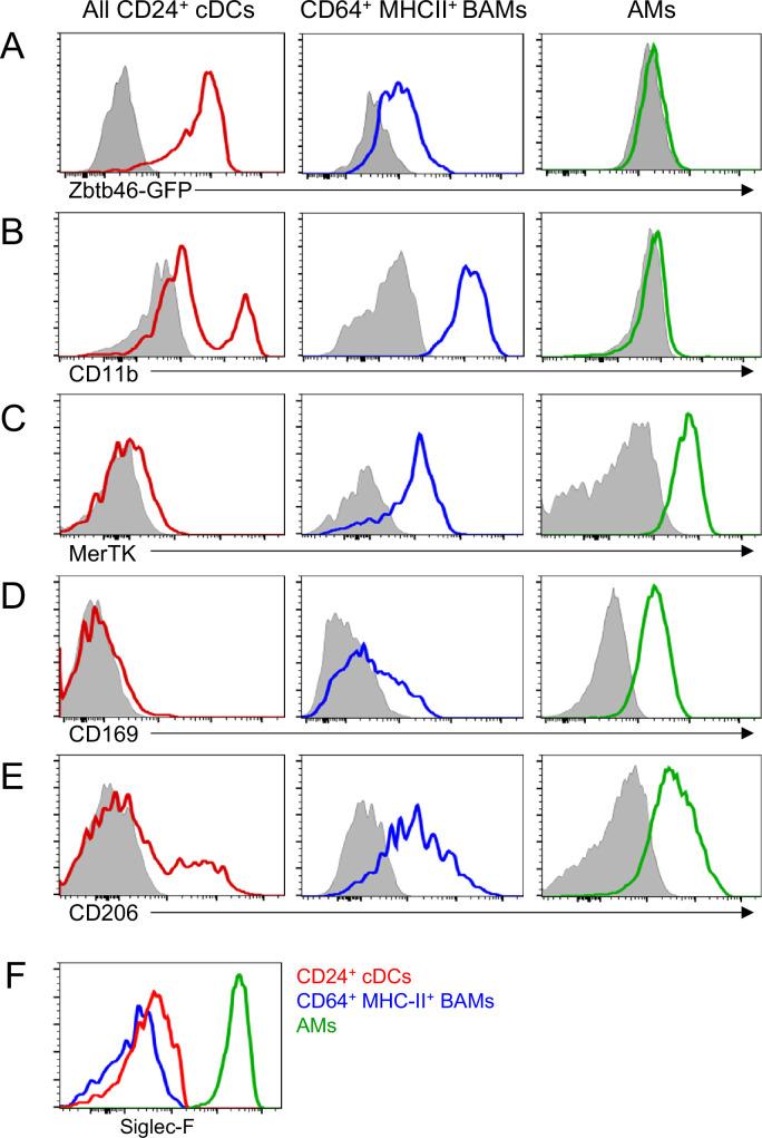 https://cdn.ncbi.nlm.nih.gov/pmc/blobs/af5e/9560158/21be58262952/elife-63296-fig3-figsupp2.jpg