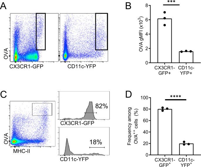 https://cdn.ncbi.nlm.nih.gov/pmc/blobs/af5e/9560158/296ab7e4a20e/elife-63296-fig2-figsupp3.jpg