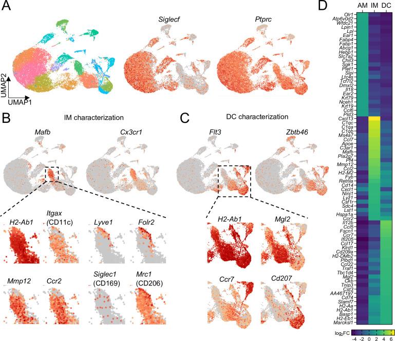 https://cdn.ncbi.nlm.nih.gov/pmc/blobs/af5e/9560158/4b27d5f455ba/elife-63296-fig4.jpg
