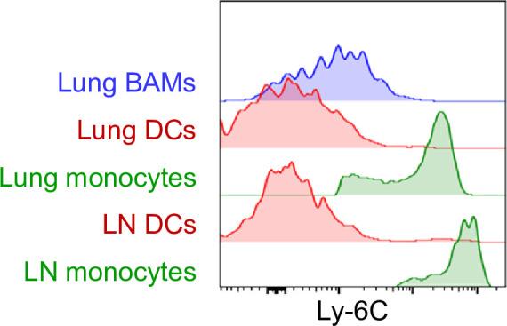 https://cdn.ncbi.nlm.nih.gov/pmc/blobs/af5e/9560158/4e62b26de22d/elife-63296-fig8-figsupp1.jpg