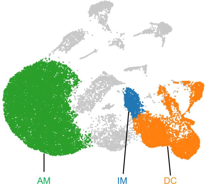 https://cdn.ncbi.nlm.nih.gov/pmc/blobs/af5e/9560158/6300febfac04/elife-63296-fig4-figsupp1.jpg