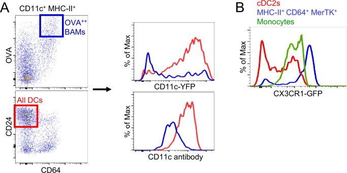 https://cdn.ncbi.nlm.nih.gov/pmc/blobs/af5e/9560158/cc92f76e2c3b/elife-63296-fig3-figsupp1.jpg