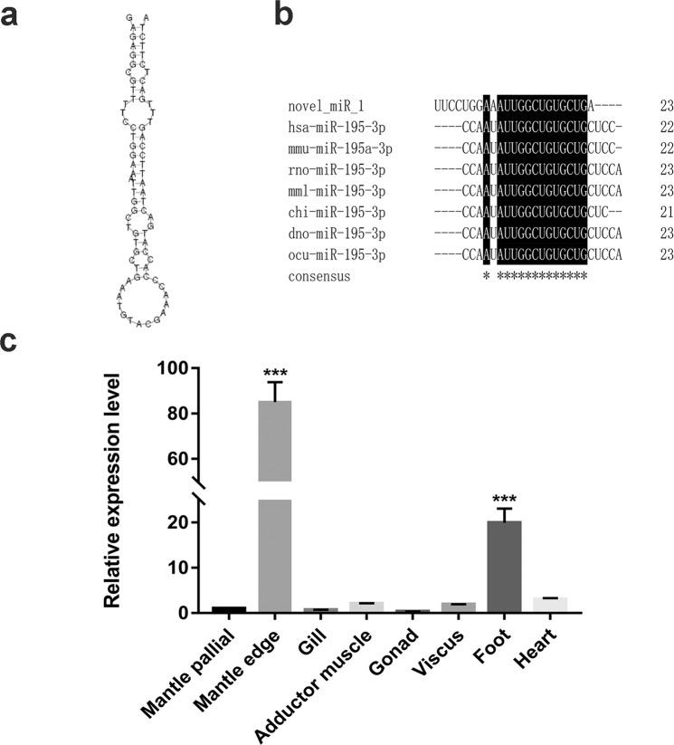 https://cdn.ncbi.nlm.nih.gov/pmc/blobs/af60/7265298/1a46d9898c4c/41598_2020_65708_Fig1_HTML.jpg