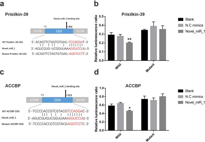 https://cdn.ncbi.nlm.nih.gov/pmc/blobs/af60/7265298/651bcb6b60b0/41598_2020_65708_Fig5_HTML.jpg