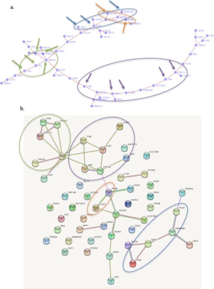 https://cdn.ncbi.nlm.nih.gov/pmc/blobs/af62/11445468/4fa1096473f0/41598_2024_73535_Fig6_HTML.jpg