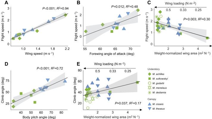 https://cdn.ncbi.nlm.nih.gov/pmc/blobs/af63/9440751/54488ed352d6/jexbio-225-243867-g5.jpg