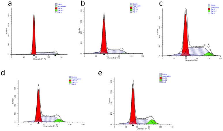 https://cdn.ncbi.nlm.nih.gov/pmc/blobs/af64/7915244/0f45b9f1d389/materials-14-00817-g010.jpg