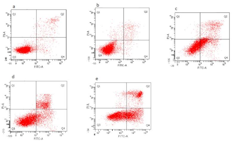 https://cdn.ncbi.nlm.nih.gov/pmc/blobs/af64/7915244/731747249737/materials-14-00817-g008.jpg