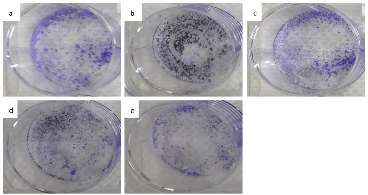 https://cdn.ncbi.nlm.nih.gov/pmc/blobs/af64/7915244/cc5eddd4ec44/materials-14-00817-g006.jpg