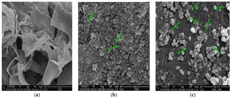 https://cdn.ncbi.nlm.nih.gov/pmc/blobs/af64/7915244/d4008db84da5/materials-14-00817-g003.jpg