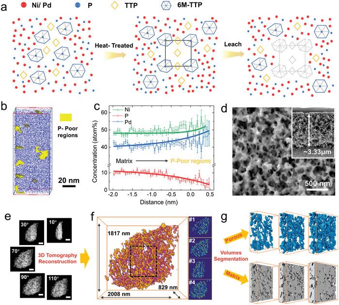 https://cdn.ncbi.nlm.nih.gov/pmc/blobs/af65/11672269/7b50c03b4346/ADVS-11-2408816-g003.jpg