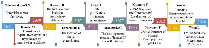 https://cdn.ncbi.nlm.nih.gov/pmc/blobs/af65/8866687/f431e5279c06/fmed-09-779722-g0001.jpg