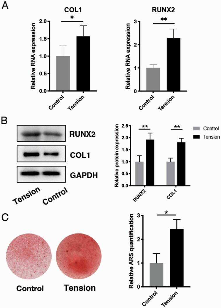 https://cdn.ncbi.nlm.nih.gov/pmc/blobs/af66/8643418/ab8f79d3a2ed/cjab043f0001.jpg