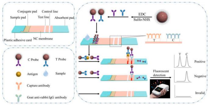 https://cdn.ncbi.nlm.nih.gov/pmc/blobs/af68/10296523/5554241afb8a/biosensors-13-00632-g008.jpg