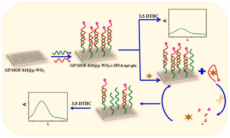 https://cdn.ncbi.nlm.nih.gov/pmc/blobs/af68/10296523/66f979520b05/biosensors-13-00632-g010.jpg