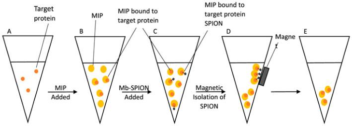 https://cdn.ncbi.nlm.nih.gov/pmc/blobs/af68/10296523/7ebb0d5022bc/biosensors-13-00632-g006.jpg