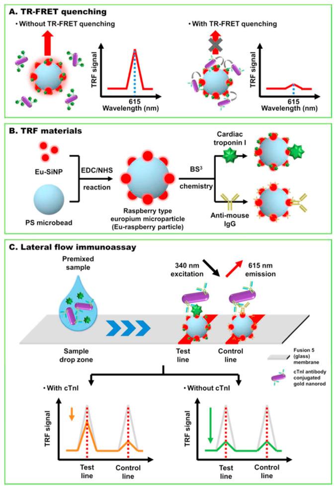 https://cdn.ncbi.nlm.nih.gov/pmc/blobs/af68/10296523/a1e9540fe2b0/biosensors-13-00632-g005.jpg