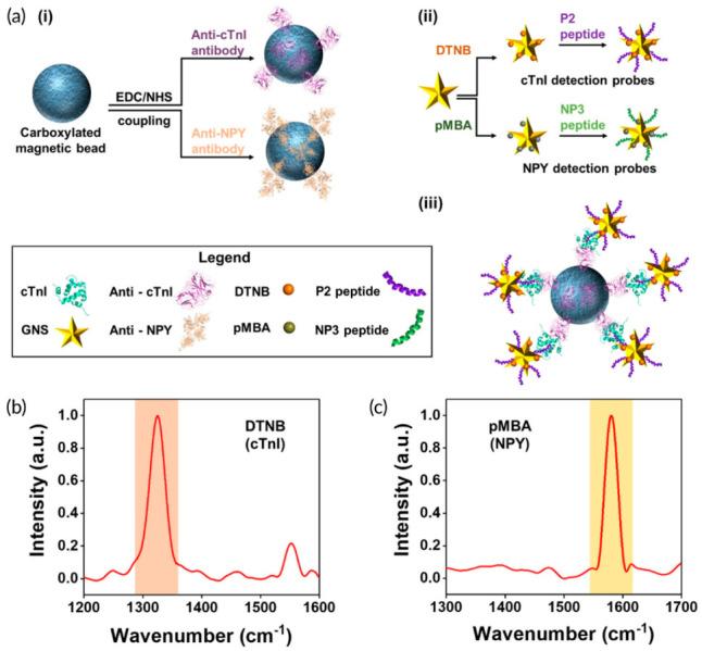 https://cdn.ncbi.nlm.nih.gov/pmc/blobs/af68/10296523/ca6f9f2908fb/biosensors-13-00632-g004.jpg