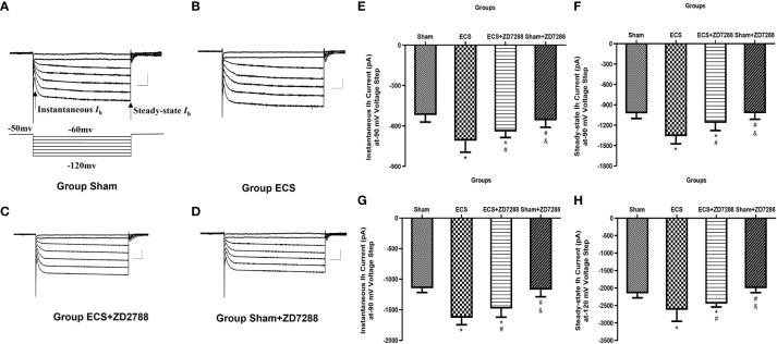https://cdn.ncbi.nlm.nih.gov/pmc/blobs/af6a/11190359/0b87193dc959/fpsyt-15-1365119-g006.jpg