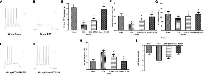 https://cdn.ncbi.nlm.nih.gov/pmc/blobs/af6a/11190359/0c2ee89d6aca/fpsyt-15-1365119-g005.jpg