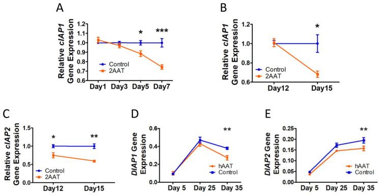 https://cdn.ncbi.nlm.nih.gov/pmc/blobs/af6a/9599126/a41a110e8a0d/biomolecules-12-01347-g004.jpg