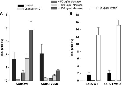 https://cdn.ncbi.nlm.nih.gov/pmc/blobs/af6c/2906266/7ddbdae18262/zbc0331025690002.jpg
