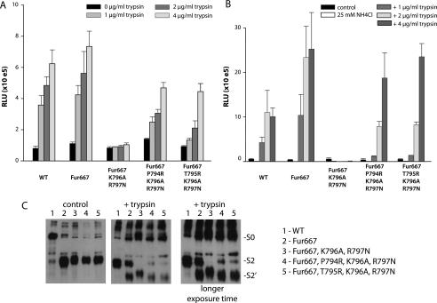 https://cdn.ncbi.nlm.nih.gov/pmc/blobs/af6c/2906266/eb96c09decf0/zbc0331025690005.jpg