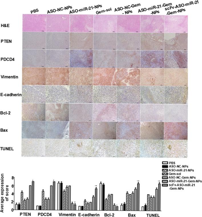 https://cdn.ncbi.nlm.nih.gov/pmc/blobs/af6c/5497927/945d5579119a/CAS-108-1493-g006.jpg