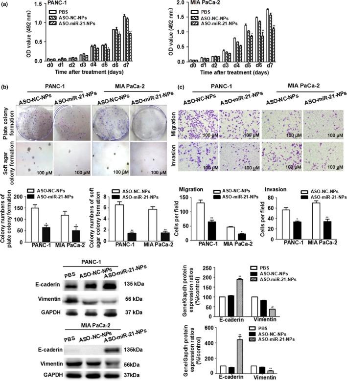 https://cdn.ncbi.nlm.nih.gov/pmc/blobs/af6c/5497927/d50f20bb0b6e/CAS-108-1493-g002.jpg
