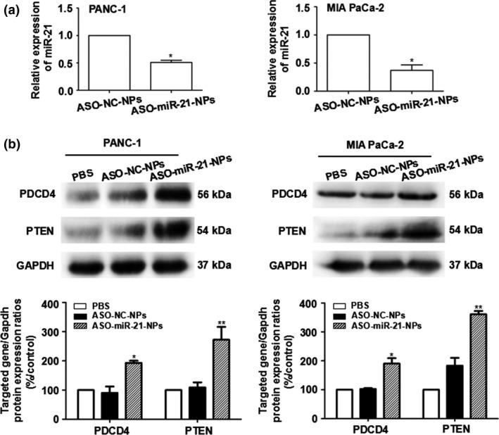 https://cdn.ncbi.nlm.nih.gov/pmc/blobs/af6c/5497927/f097448b0858/CAS-108-1493-g001.jpg