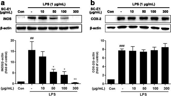 https://cdn.ncbi.nlm.nih.gov/pmc/blobs/af6c/5534083/551b93ade38c/12906_2017_1874_Fig4_HTML.jpg